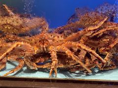 -阿伟海鲜楼·福建菜(延寿店)