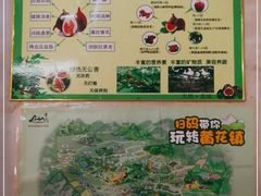 -银峰农庄·特色烧鸡·鲜无花果浸鸡