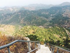 -金龙寺国家森林公园