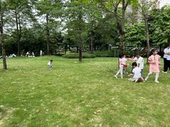 -文华公园(禅城区)