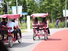 -上海长兴岛郊野公园