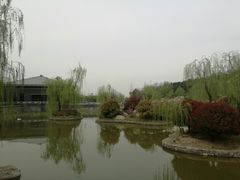 -鹦鹉寺公园