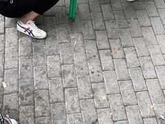 -清真白建强牛肉面(金雁花园店)