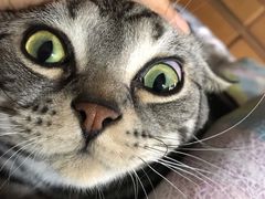 -康乐宝动物医院