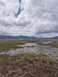 -纳帕海依拉草原