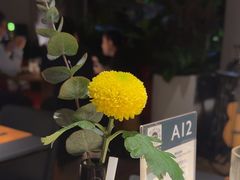 -拉蒂娜·巴西牛排馆 Latina·Brazilian Steakhouse(王府井喜悦店)