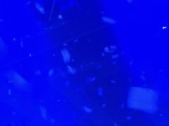 -简奥斯汀·赫本酒吧