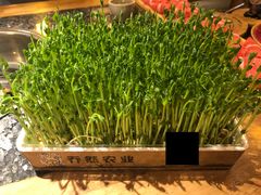 -蜀大侠火锅(四川北路店)