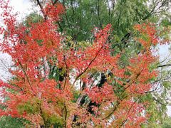 -狼山风景名胜区