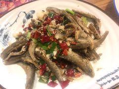 -印象鲵宴·张家界地标美食名片(溪布街店)