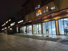 -车艺尚上海龙膜隐形车衣汽车贴膜旗舰店