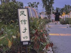 -悦见花开·花园里的火锅·露营·下午茶