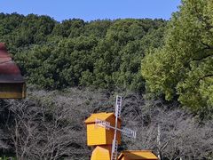 -苏州上方山国家森林公园