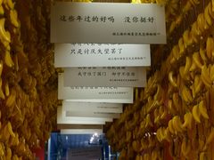-上海外滩星空失恋减压馆(外滩旗舰馆)