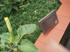 -广州神农草堂中医药博物馆