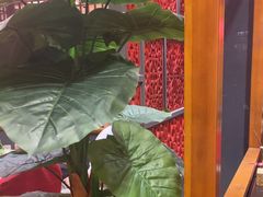 -芦月轩羊蝎子(劲松店)