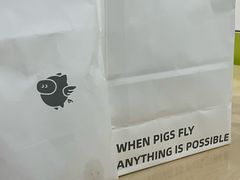 -WHEN PIGS FLY当猪飞