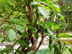 -方恒购物中心(望京小街店)