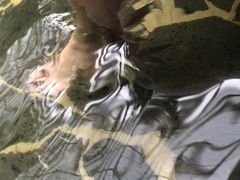 -龙达温泉生态城