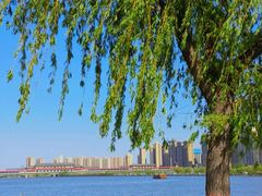 -咸阳湖景区