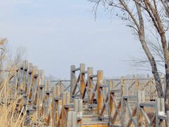 -野鸭湖国家湿地公园