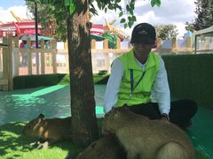 -七彩云南欢乐世界