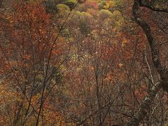 -叠溪松坪沟景区