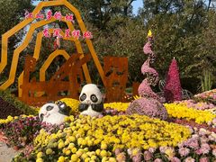 -南山植物园