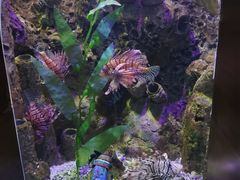 -太平洋海底世界