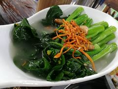 -石岐乳鸽村(桥观坊南四巷店)
