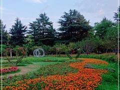 -花溪公园