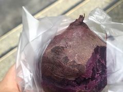 -西南交通大学(九里校区)