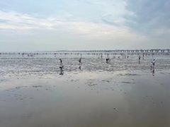 -南汇新城海滩