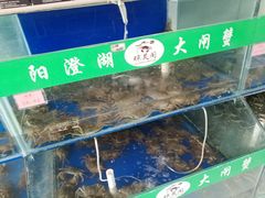 -阳澄湖大闸蟹·琼灵阁牌品牌连锁(吴中总店)