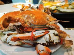 -半岛听涛蒸汽海鲜自助(K11店)