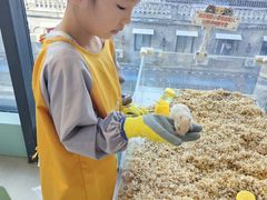 -怪兽屋·羊驼·猫咖·狗咖(俊华广场店)