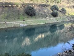-桃花岭景区