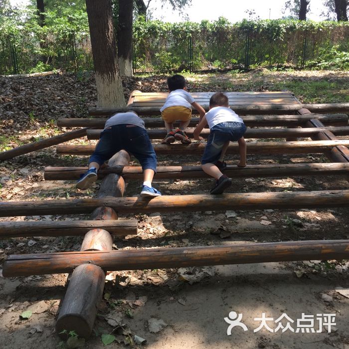 田妈妈·蘑法森林
