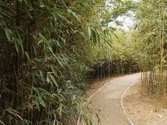 -济南国际园博园