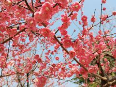 -白塘生态植物园