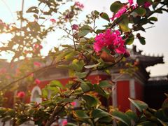 -老北京风情街