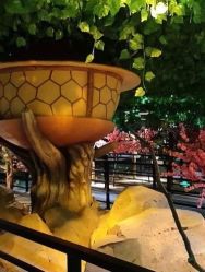 -酷嗒动物文化乐园(cutezoo西溪乐天城店)