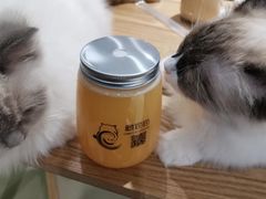 -藏猫猫咖啡主题馆(中央大道店)