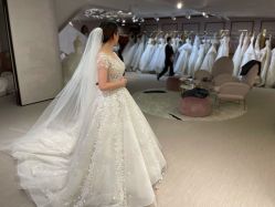 -B.Bridge Couture婚纱礼服(福田店)