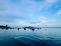 -海源公园