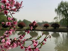 -西安浐灞国家湿地公园