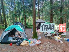 -重庆睡佛山森林公园