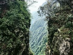 -峨眉山风景名胜区