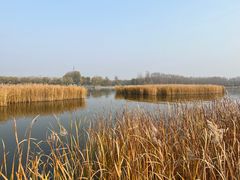 -野鸭湖国家湿地公园