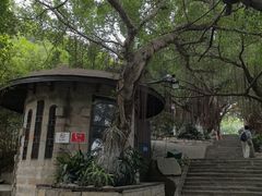-胡里山炮台